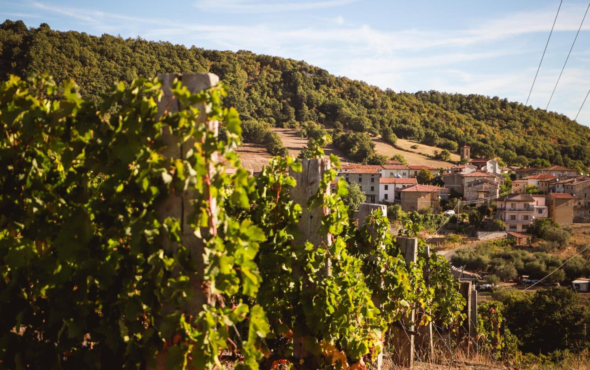 Bio Agriturismo Poggio Aione Saturnia Eksteriør bilde