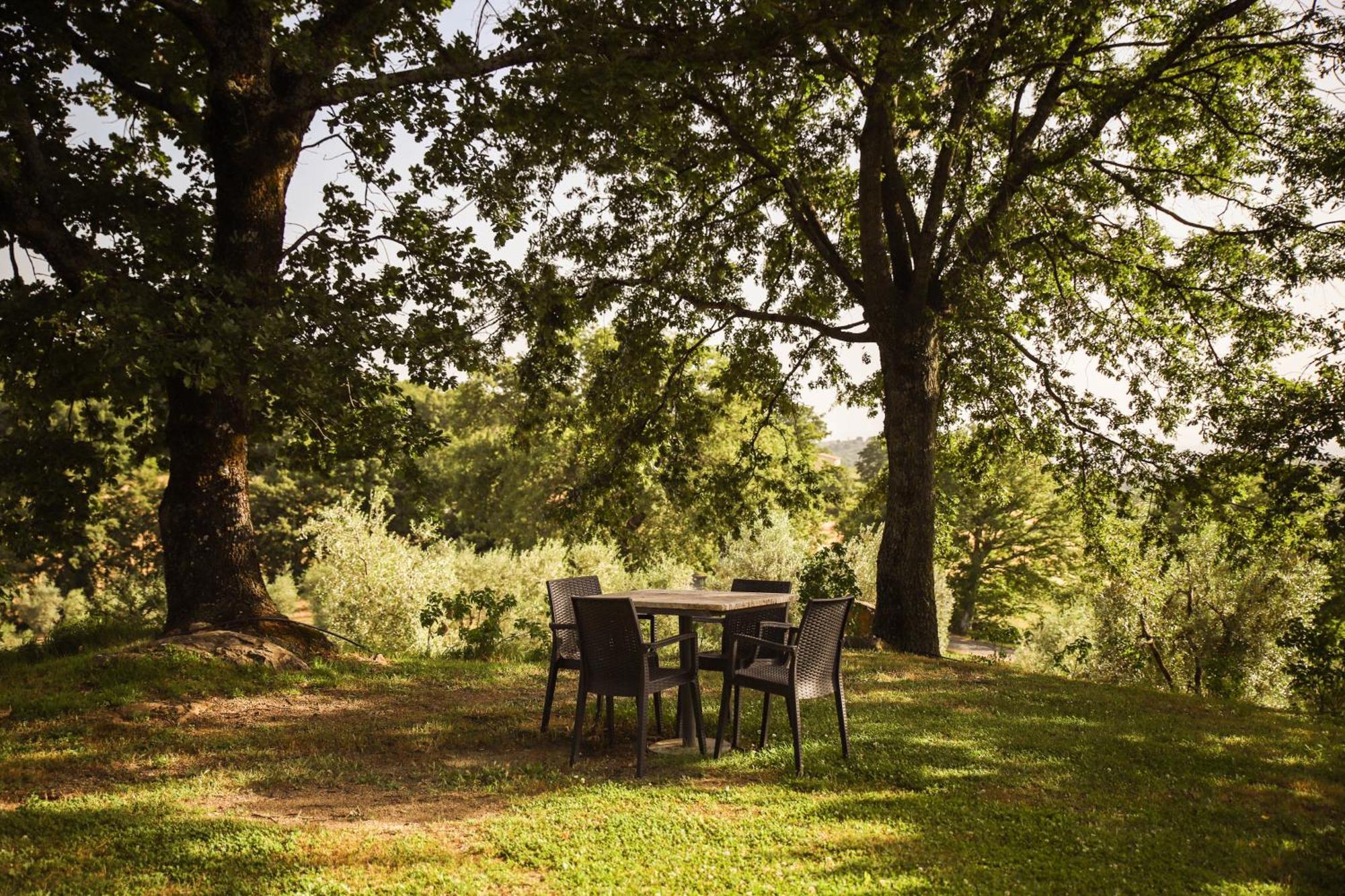 Bio Agriturismo Poggio Aione Saturnia Eksteriør bilde